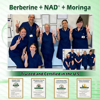 🔥 Only 10 boxes left! Get an extra 30% off! GLORENDA® Moringa · Berberine × NAD+ 10-in-1 Advanced Patch is doctor-tested and proven safe — just 4 to 6 patches help support weight, blood sugar, digestion, and energy with lasting results!